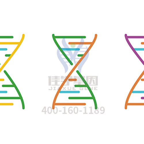 【眼科遗传病】<font color='red'>BEST</font>病基因解码、<a href=http://www.ywghtm.com/tk/jiema/cexujishu/2021/31933.html>基因检测</a>