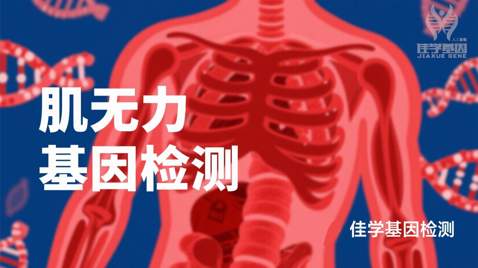 【yl6809永利基因检测】先天性<font color='red'><font color='red'>肌无力</font></font>综合症16型基因检测需要查染色体突变吗？
