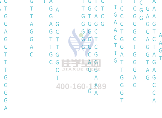 【yl6809永利基因检测】<font color='red'><font color='red'>庞贝</font>氏</font>症（Pompe disease)基因解码、基因检测