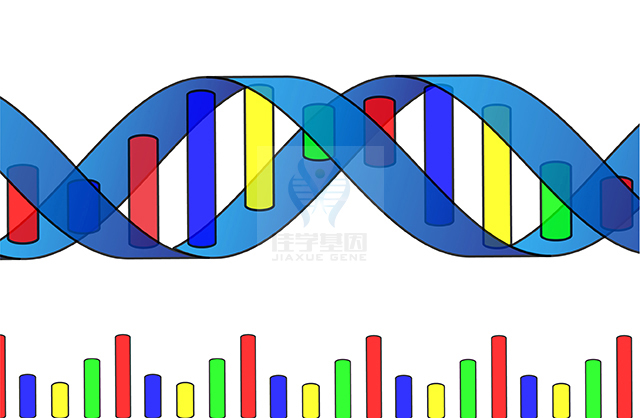 【yl6809永利基因检测】克兰费尔特综合征（<font color='red'><font color='red'>Klinefelter</font></font> syndrome)基因解码、基因检测