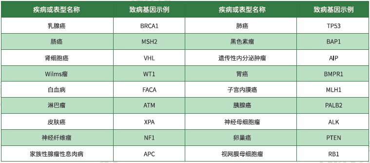 【yl6809永利基因检测】<font color='red'><font color='red'>遗传性</font><font color='red'>肿瘤</font></font>致病基因鉴定基因解码